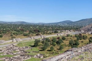 Mexico City: Early Visit to Teotihuacan