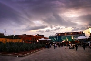 Mexico City: Evening Garibaldi Square Tour & Dinner