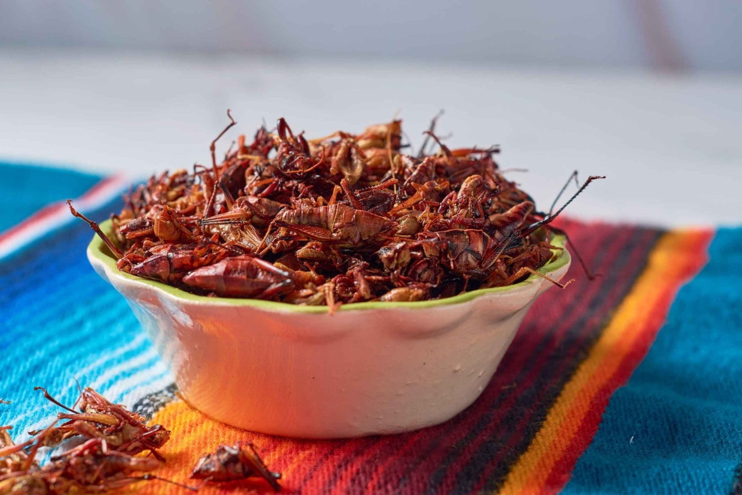 Mexico City: Exotic Food and Market Tour