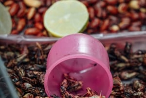 Mexico City: Exotic Food and Market Tour