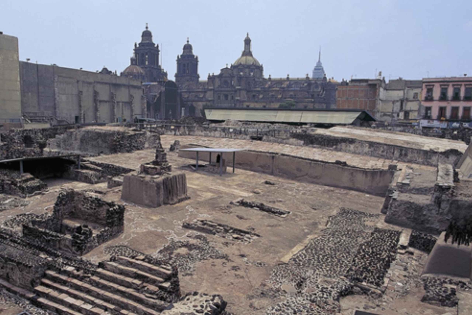 Ciudad de México: tour a pie histórico con un guía experto (doctor)