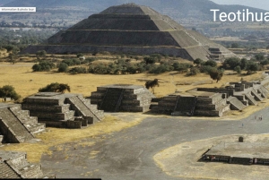 Ciudad de México: tour a pie histórico con un guía experto (doctor)