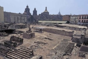 Ciudad de México: tour a pie histórico con un guía experto (doctor)