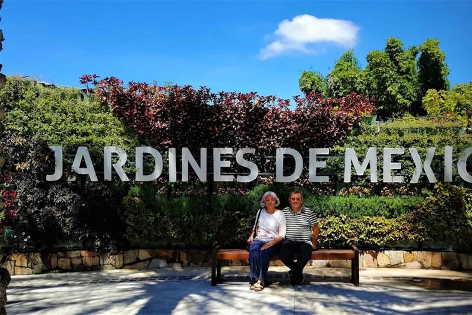 Ciudad de México: Explora los Jardines Mexicanos y el Pueblo de Tepoztlán