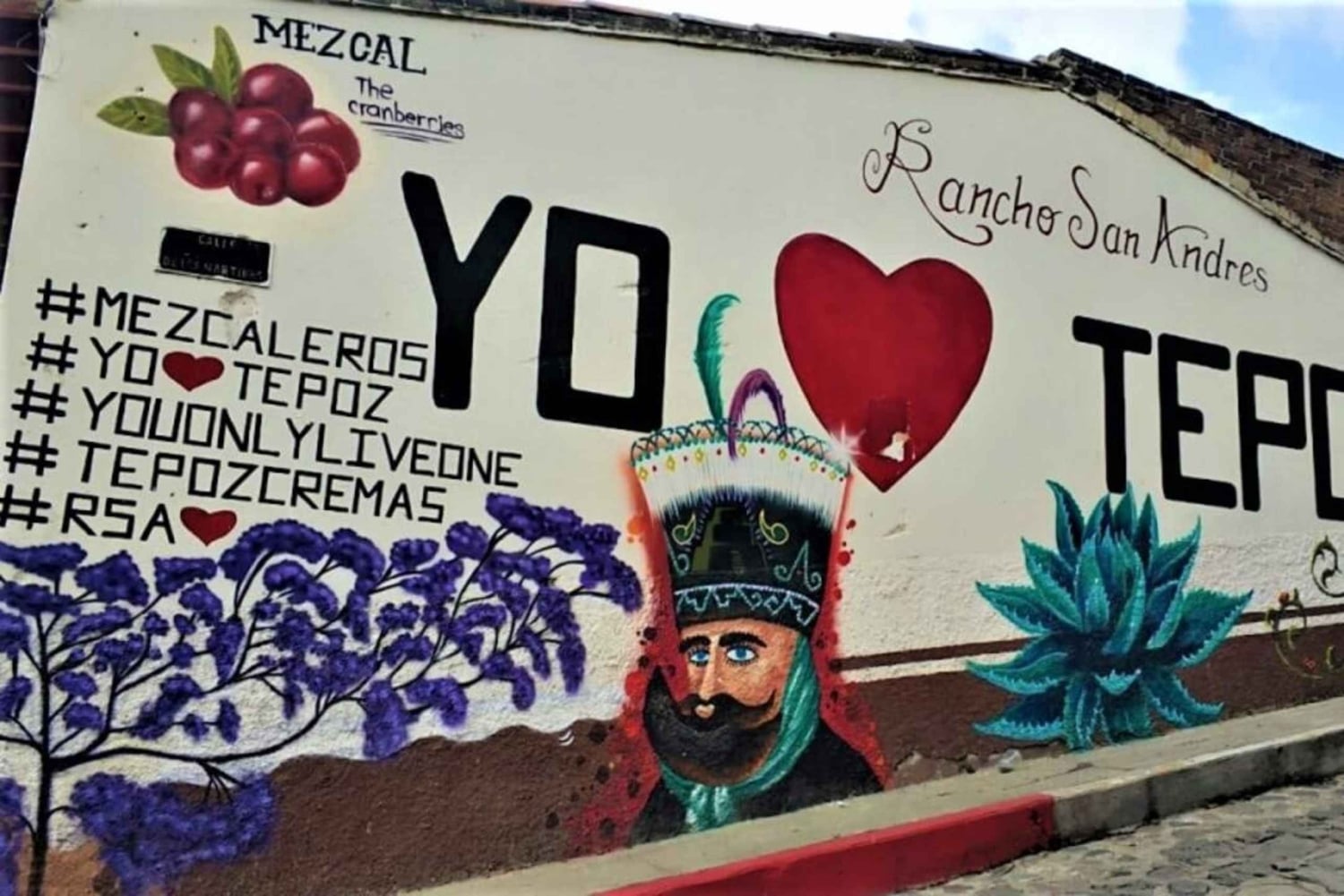 Ciudad de México: Explora los Jardines Mexicanos y el Pueblo de Tepoztlán