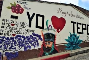 Ciudad de México: Explora los Jardines Mexicanos y el Pueblo de Tepoztlán