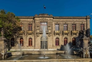 Mexico City: Fast Track Chapultepec Castle NHM Private Tour