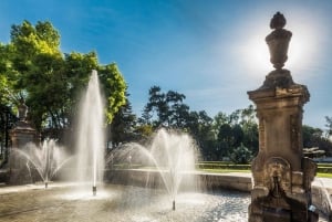 Mexico City: Fast Track Chapultepec Castle NHM Private Tour