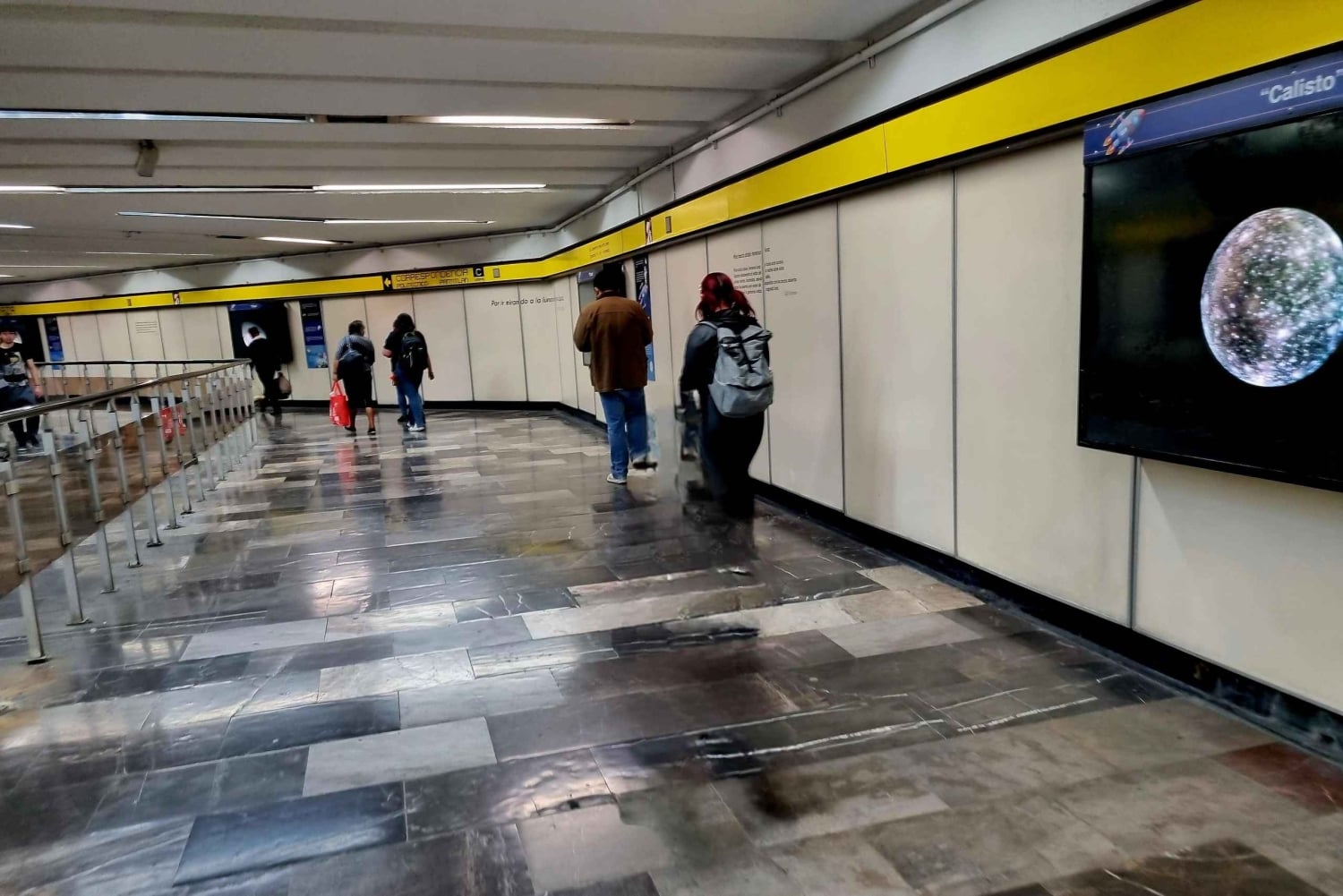 Ciudad de Mexico: Bellas Artes, Parque Alabama,Tour Museo de la Ciencia.