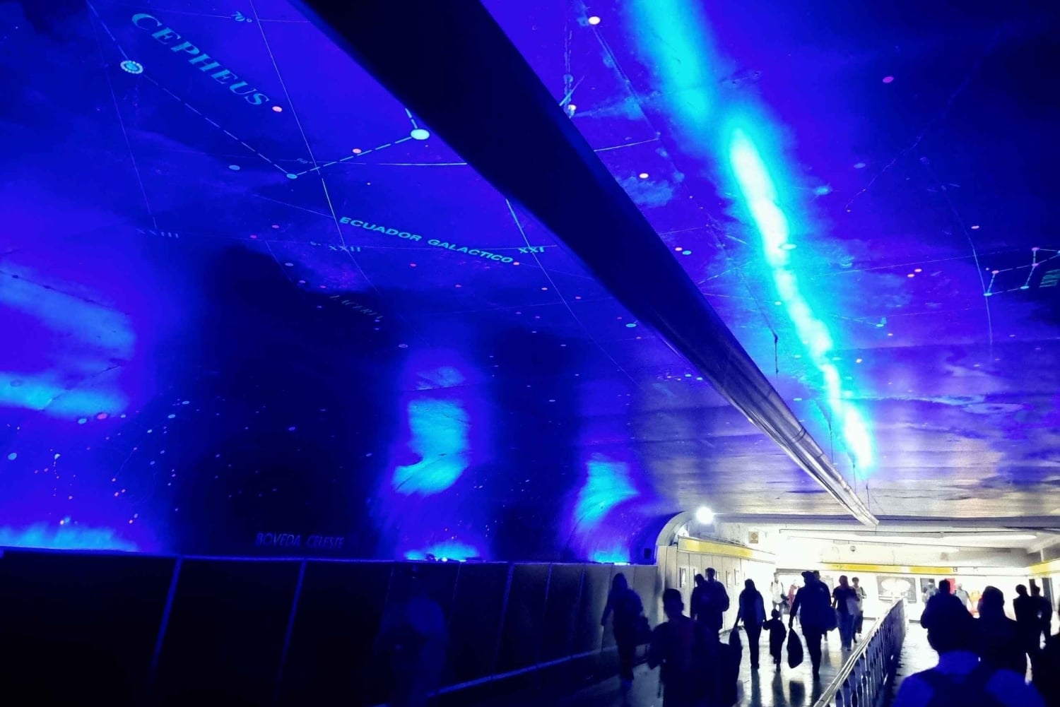 Ciudad de Mexico: Bellas Artes, Parque Alabama,Tour Museo de la Ciencia.