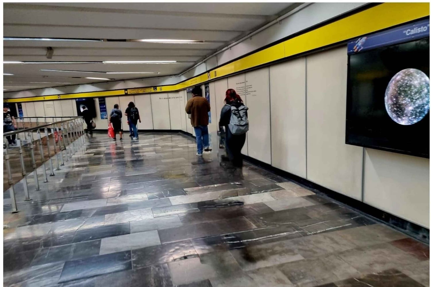 Ciudad de Mexico: Bellas Artes, Parque Alabama,Tour Museo de la Ciencia.