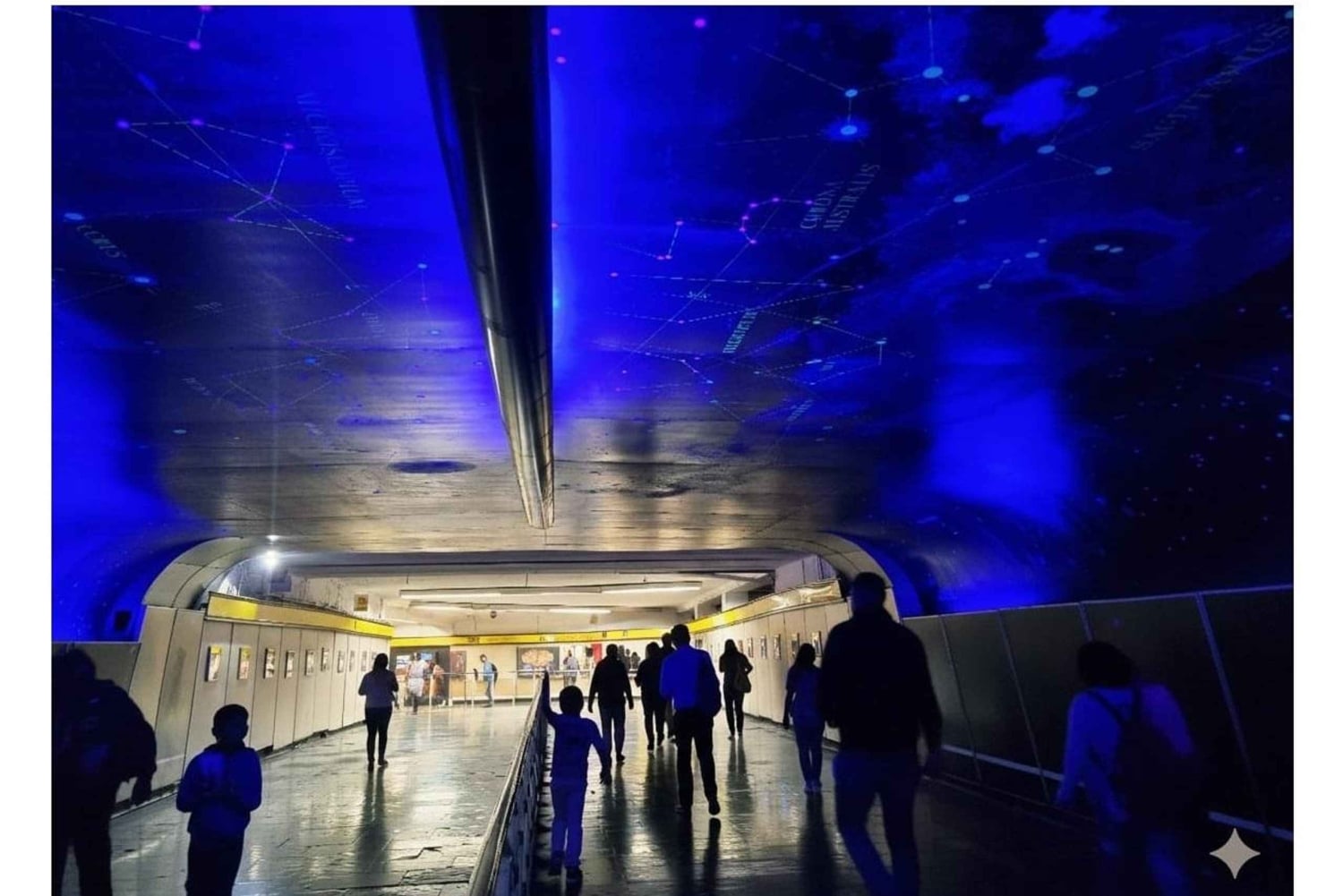 Ciudad de Mexico: Bellas Artes, Parque Alabama,Tour Museo de la Ciencia.