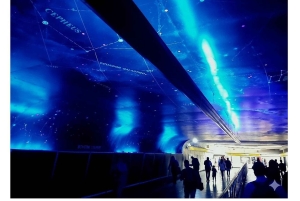 Ciudad de Mexico: Bellas Artes, Parque Alabama,Tour Museo de la Ciencia.