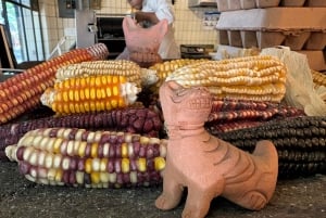 Mexico City: Food walking tour and makets