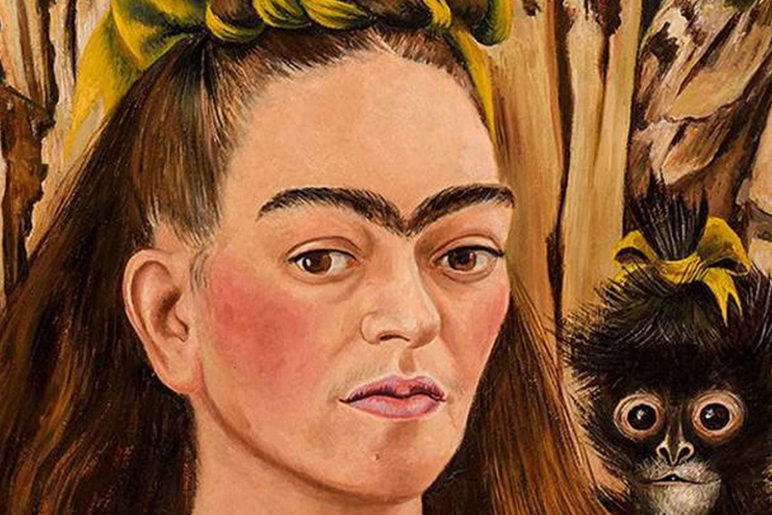 Ciudad de México: Frida Kahlo Casa Azul y Coyoacán Tour privado