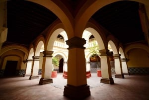 Ciudad de México: Frida Kahlo Casa Azul y Coyoacán Tour privado