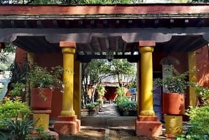 Ciudad de México: Frida Kahlo Casa Azul y Coyoacán Tour privado