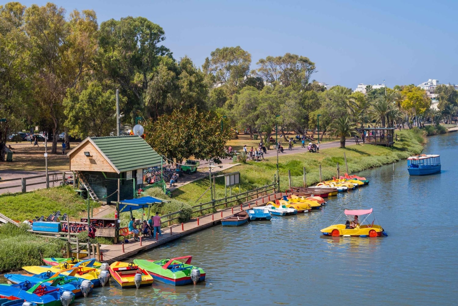 CDMX: Tour por la ciudad de Frida Kahlo, con opción a su museo y Xochimilco