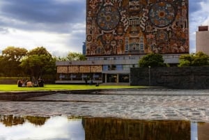 CDMX: Tour por la ciudad de Frida Kahlo, con opción a su museo y Xochimilco
