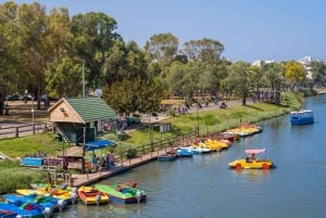CDMX: Tour por la ciudad de Frida Kahlo, con opción a su museo y Xochimilco