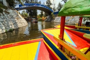 CDMX: Tour por la ciudad de Frida Kahlo, con opción a su museo y Xochimilco