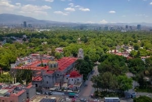 CDMX: Tour por la ciudad de Frida Kahlo, con opción a su museo y Xochimilco