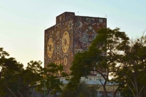 CDMX: Tour por la ciudad de Frida Kahlo, con opción a su museo y Xochimilco