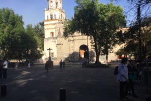 Ciudad de México: Excursión de un día a Frida Kahlo, Coyoacán y Xochimilco