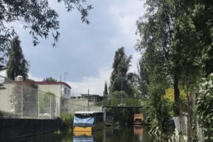 Ciudad de México: Excursión de un día a Frida Kahlo, Coyoacán y Xochimilco