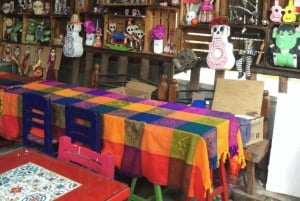 Ciudad de México: Excursión de un día a Frida Kahlo, Coyoacán y Xochimilco