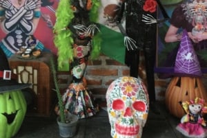 Ciudad de México: Excursión de un día a Frida Kahlo, Coyoacán y Xochimilco