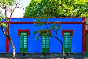 Mexico City: Frida Kahlo Museum & Coyoacan Tacos & Food Tour