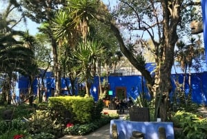 Mexico City: Frida Kahlo Museum & Coyoacan Tacos & Food Tour