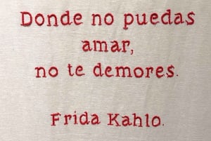 Mexico City: Frida Kahlo Museum Entry Ticket w/Digital Guide