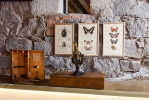Mexico City: Frida Kahlo Museum Entry Ticket w/Digital Guide