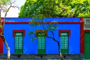 Ciudad de México: Visita guiada al Museo Frida Kahlo con traslado