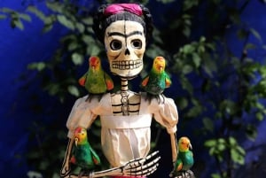 Mexico City: Frida Kahlo Museum Guided Tour with Transfer