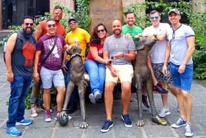 Mexico City: Gay Plazas