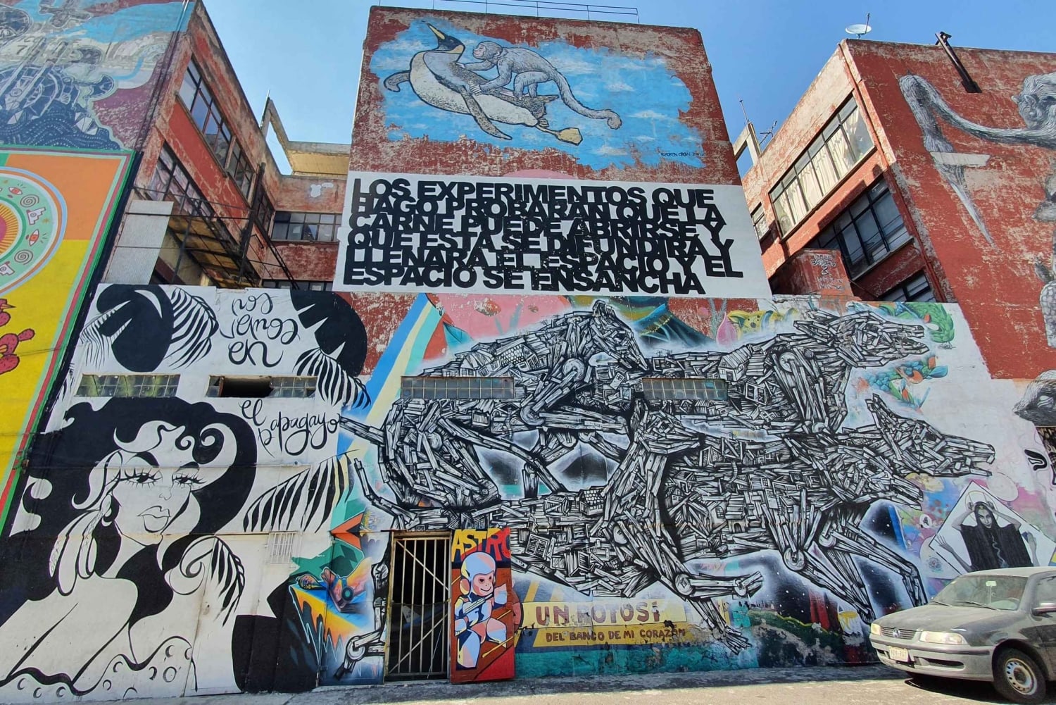 Mexico City Grafitti & Street art bike tour, find hidden gem
