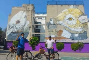 Recorrido en bicicleta por el Grafitti y el arte callejero de Ciudad de México, encuentra una joya oculta
