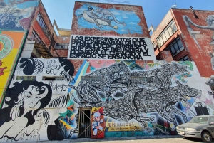 Mexico City Grafitti & Street art bike tour, find hidden gem