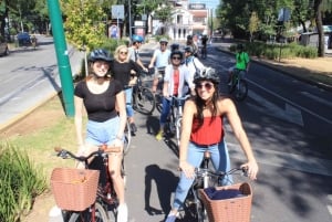 Mexico City Grafitti & Street art bike tour, find hidden gem