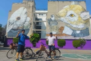 Mexico City Grafitti & Street art bike tour, find hidden gem