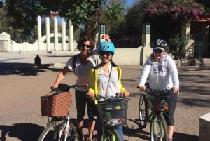 Mexico City Grafitti & Street art bike tour, find hidden gem