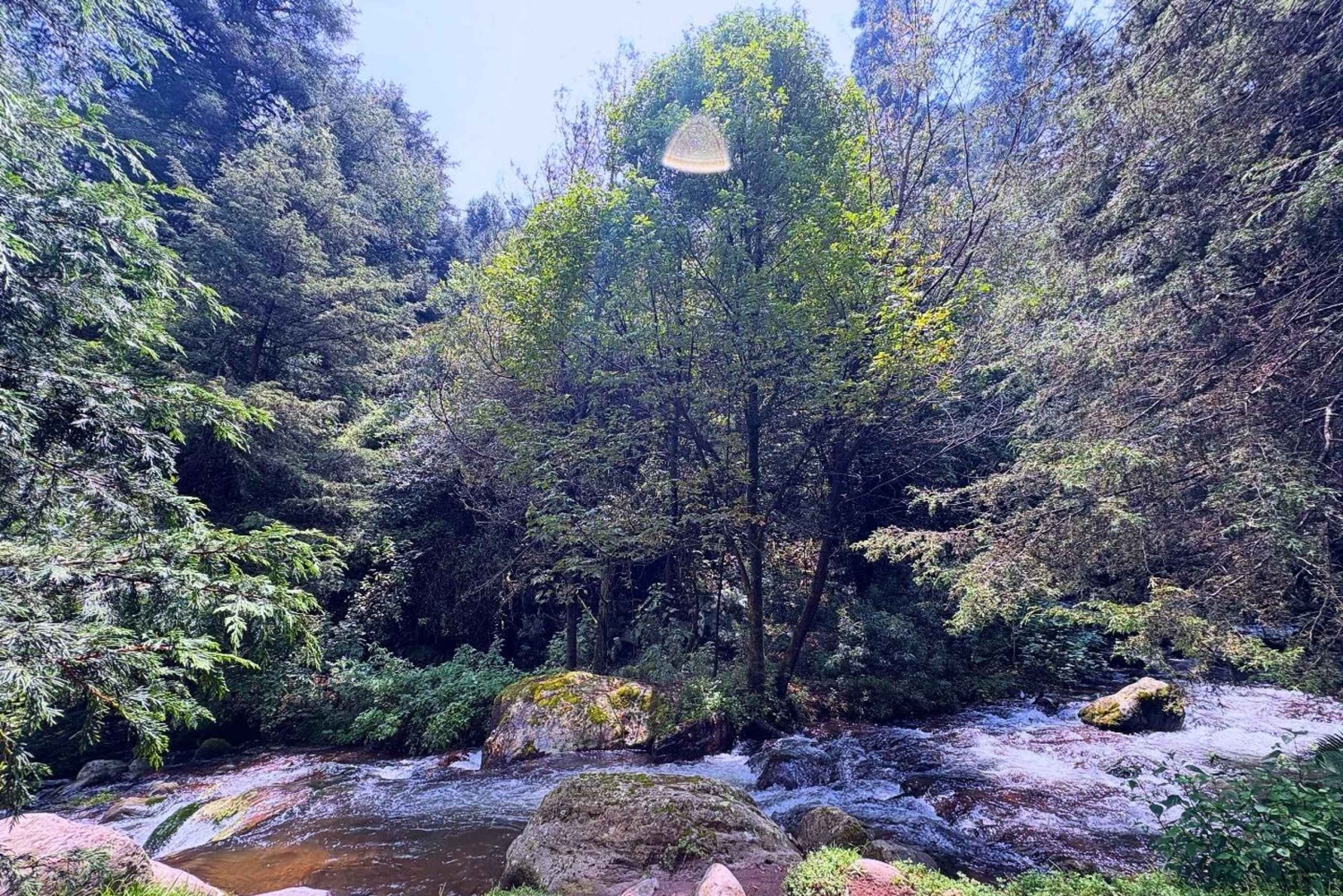 Ciudad de México: Caminata guiada en el Bosque de los Dinamos