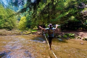 Mexico City: Guided Hike in the Dinamos Forest