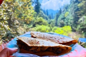 Mexico City: Guided Hike in the Dinamos Forest