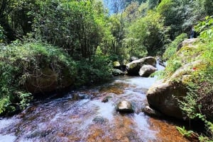Mexico City: Guided Hike in the Dinamos Forest