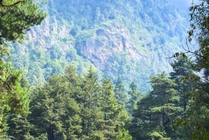 Mexico City: Guided Hike in the Dinamos Forest