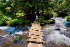 Mexico City: Guided Hike in the Dinamos Forest
